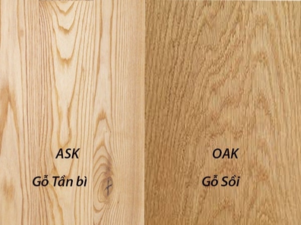 Phân Biệt Gỗ Sồi và Gỗ Ash